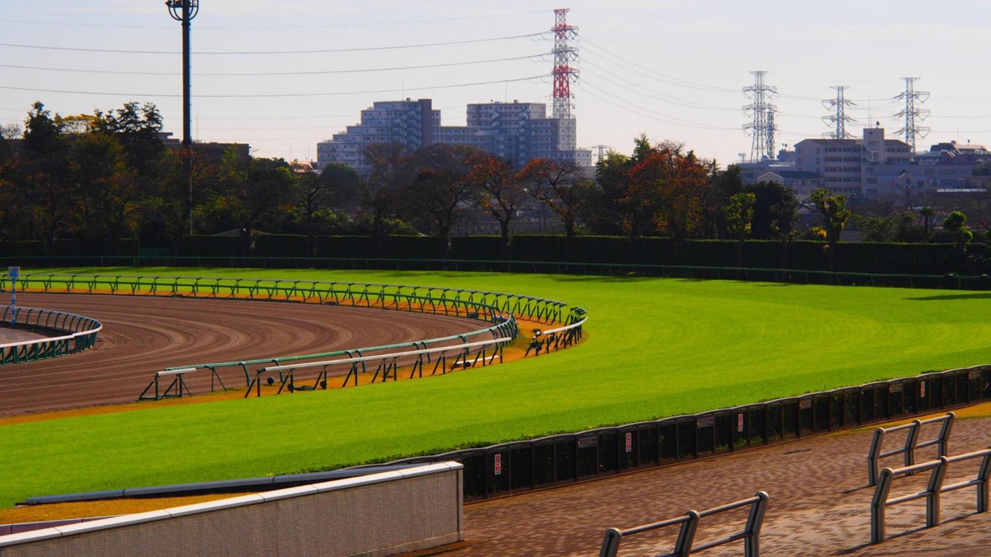 Toyoko Inn Nishi Funabashi Baraki Inter Ičikawa Exteriér fotografie